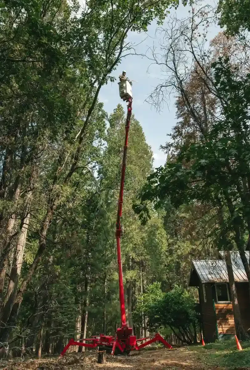 Tall red crane lift in a wooded outdoor area with a person at the top near a small structure