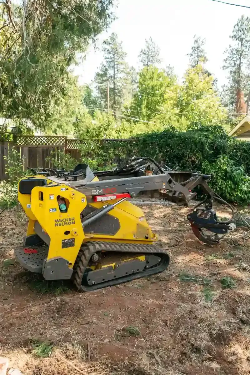 Yellow tracked skid steer with brush rake in a wooded area covered with leaves