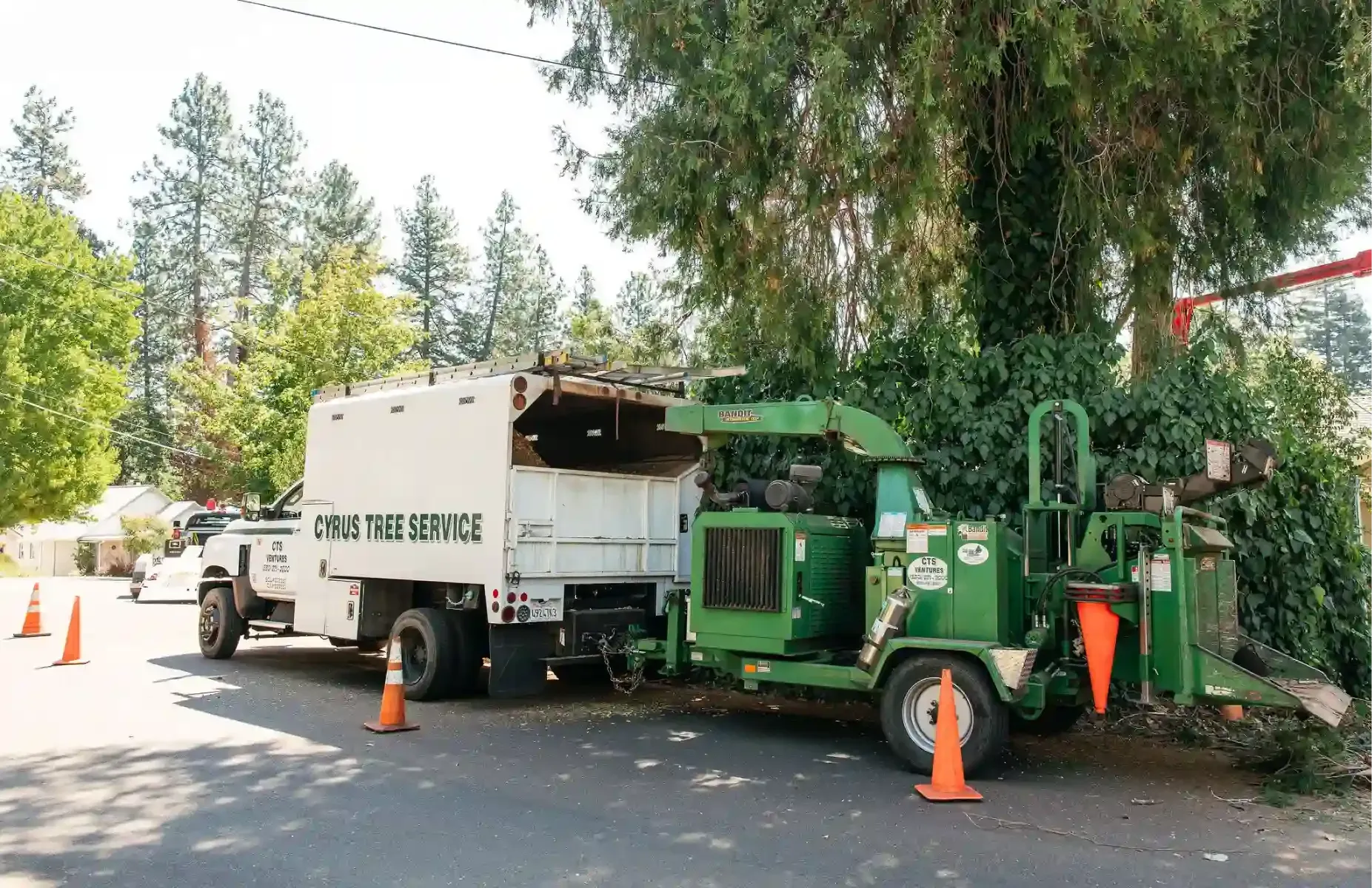 Green utility truck clearing debris beside a tree on a roadside, with orange cones and a white service truck nearby