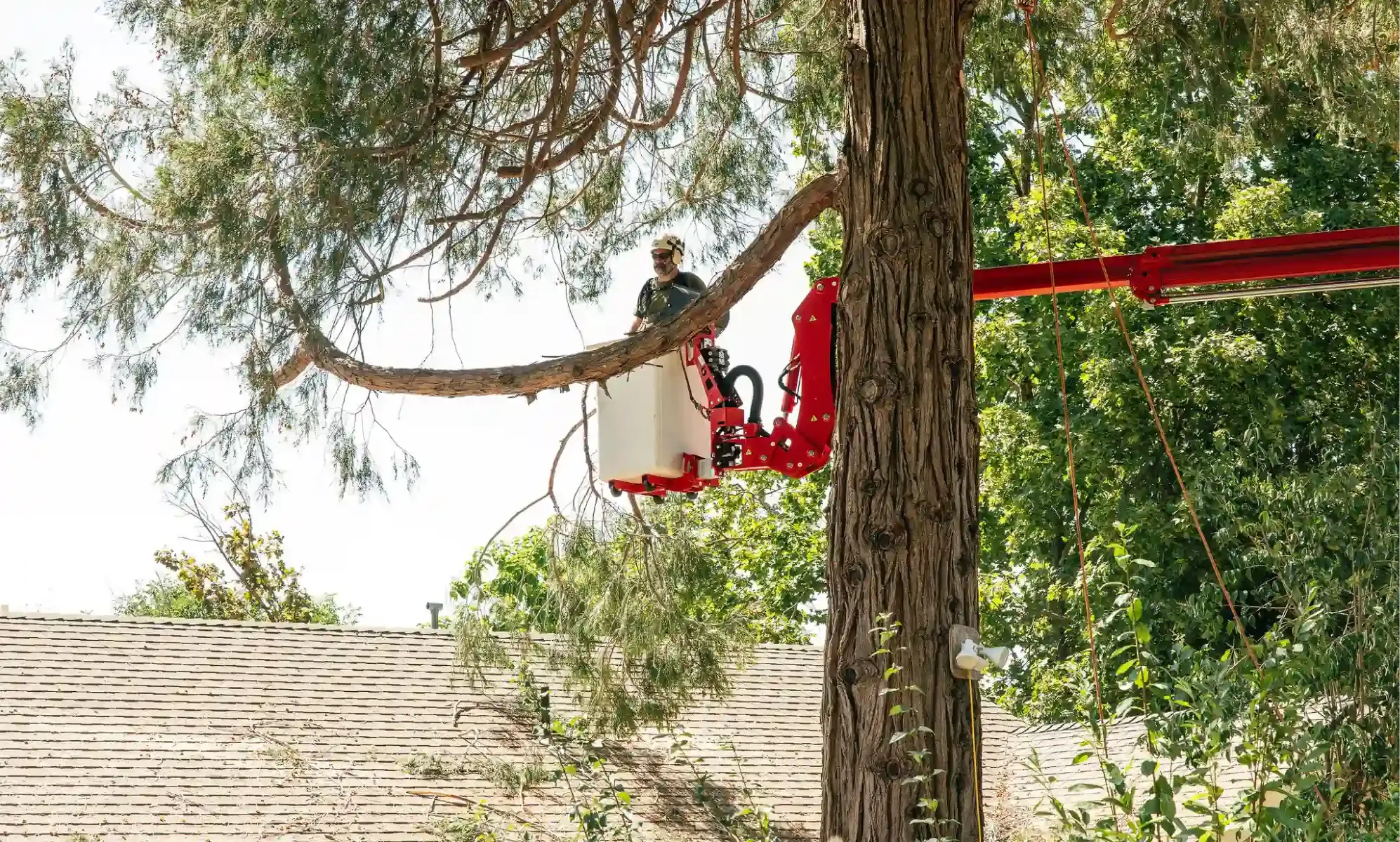 Person on red zipline platform in a tree, outdoors over a grassy slope.