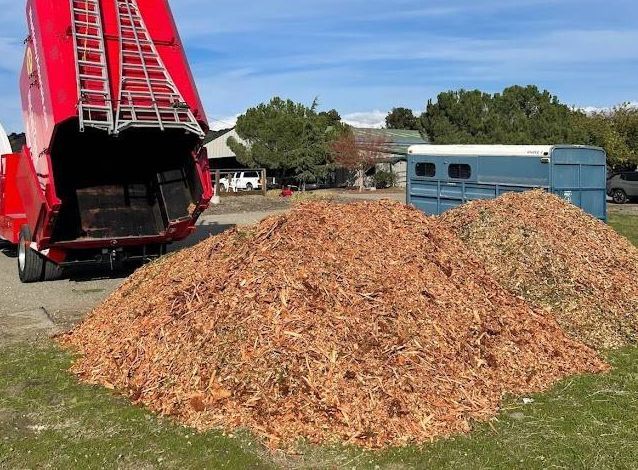 Blue industrial machine tipping red railcars filled with pale wood chips at a yard