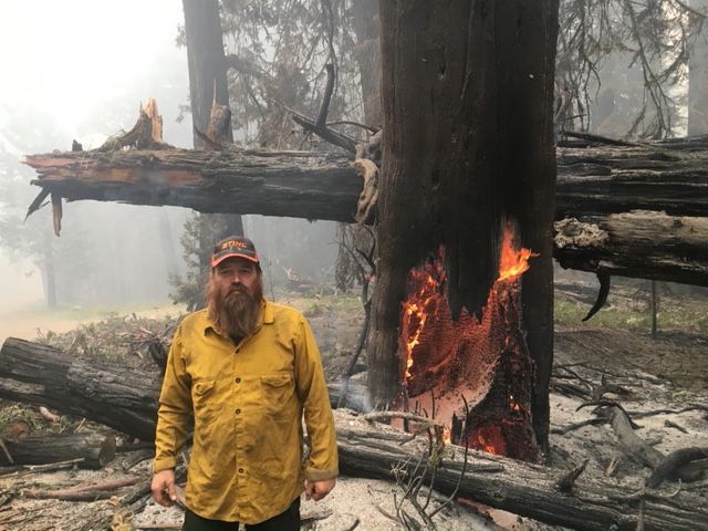 Firefighter standing near a burning tree in a smoky forest, wearing a yellow jacket and helmet