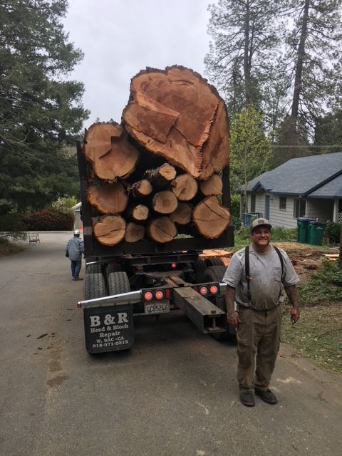A heavily loaded log truck parked on a wooded road, with a worker standing beside it.