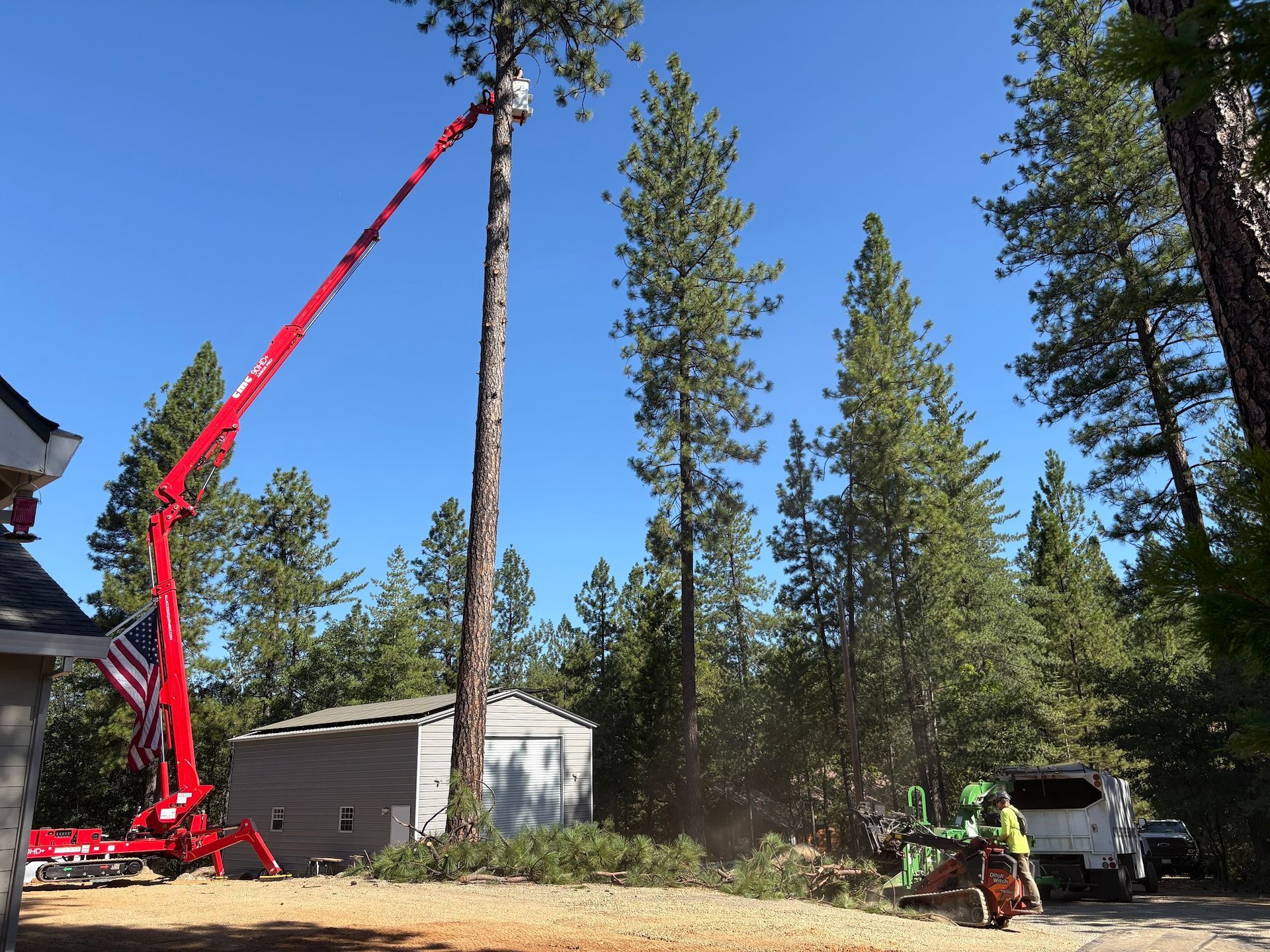 Red crane lifting a tall tree trunk in a wooded yard beside a shed and truck
