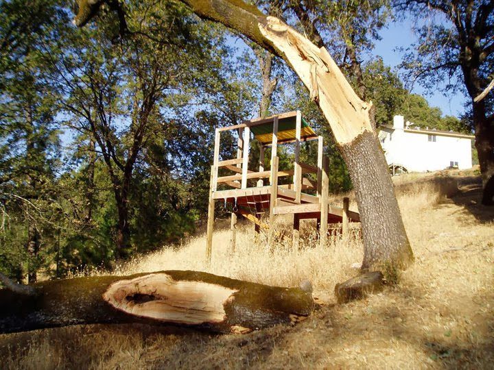 Wooden platform and tree on a dry hillside near a white house in the woods