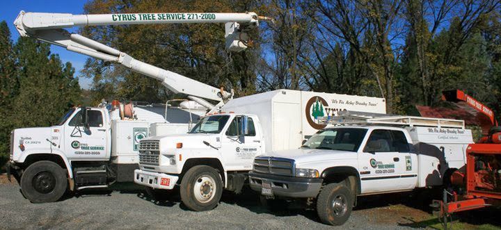 White utility bucket trucks and service pickups parked outdoors beside a red machine under trees.