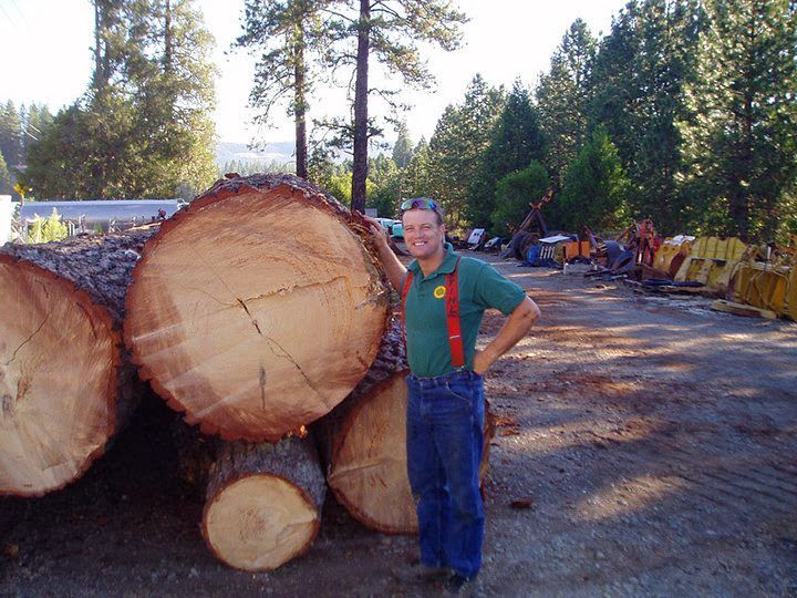 Worker standing beside stacked logs in a wooded logging yard, with heavy machinery in the background.