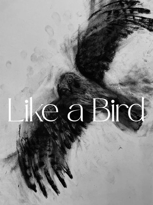 Like a Bird - Elizabeth Hammond Like a Bird - Elizabeth Hammond