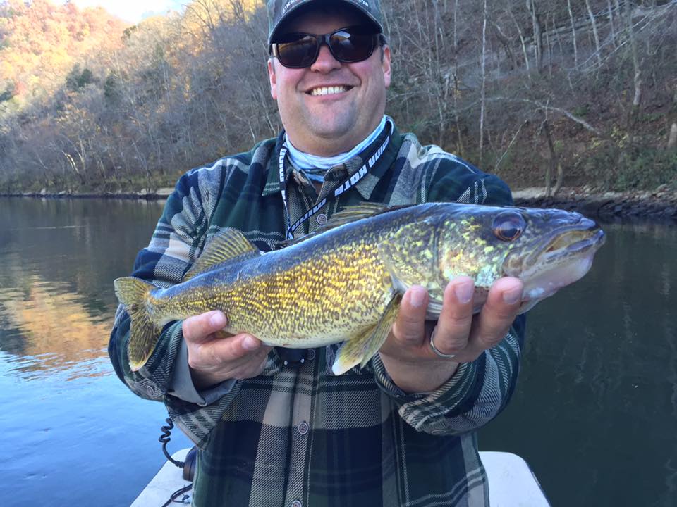 Cumberland River Trout Gallery
