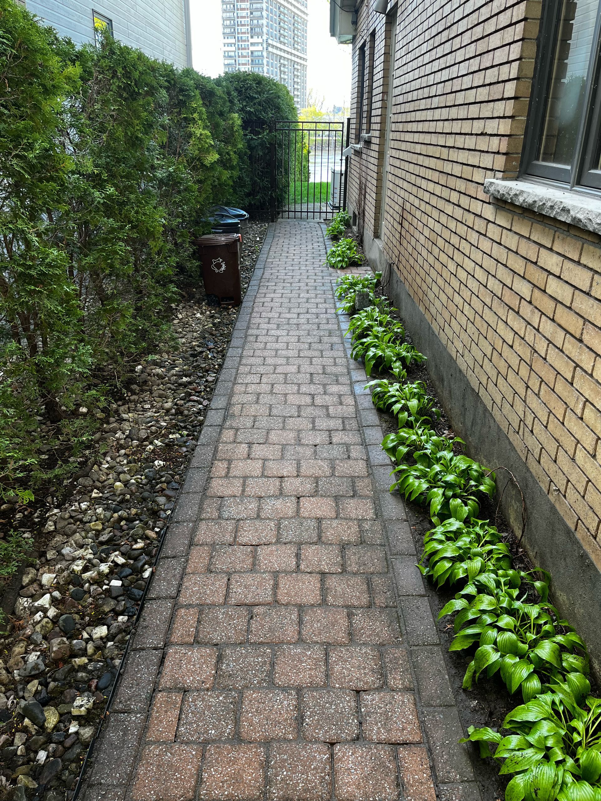 Un trottoir menant à un bâtiment en briques avec des plantes poussant sur le côté.