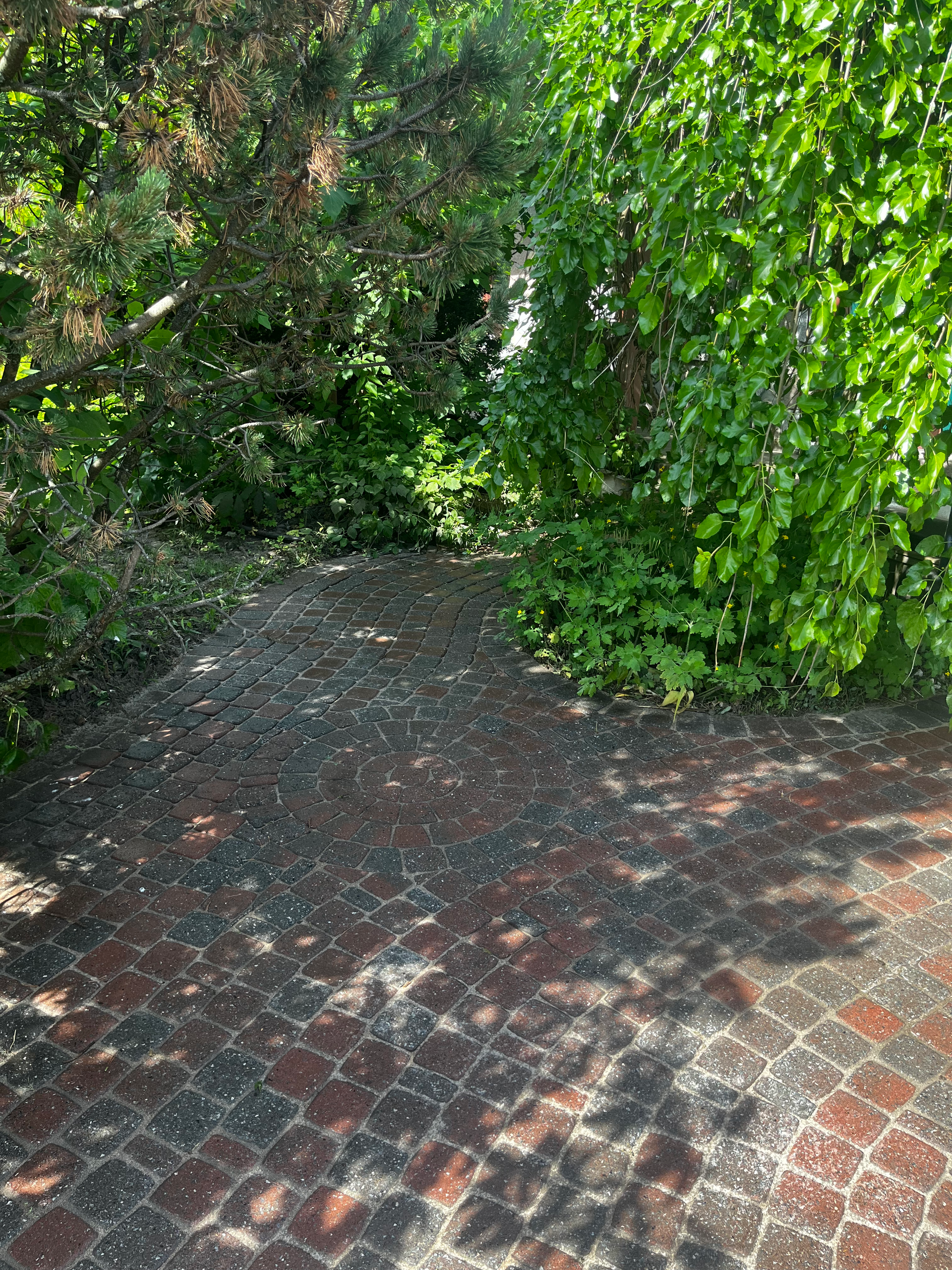 Une allée en briques entourée d'arbres et de buissons par une journée ensoleillée.
