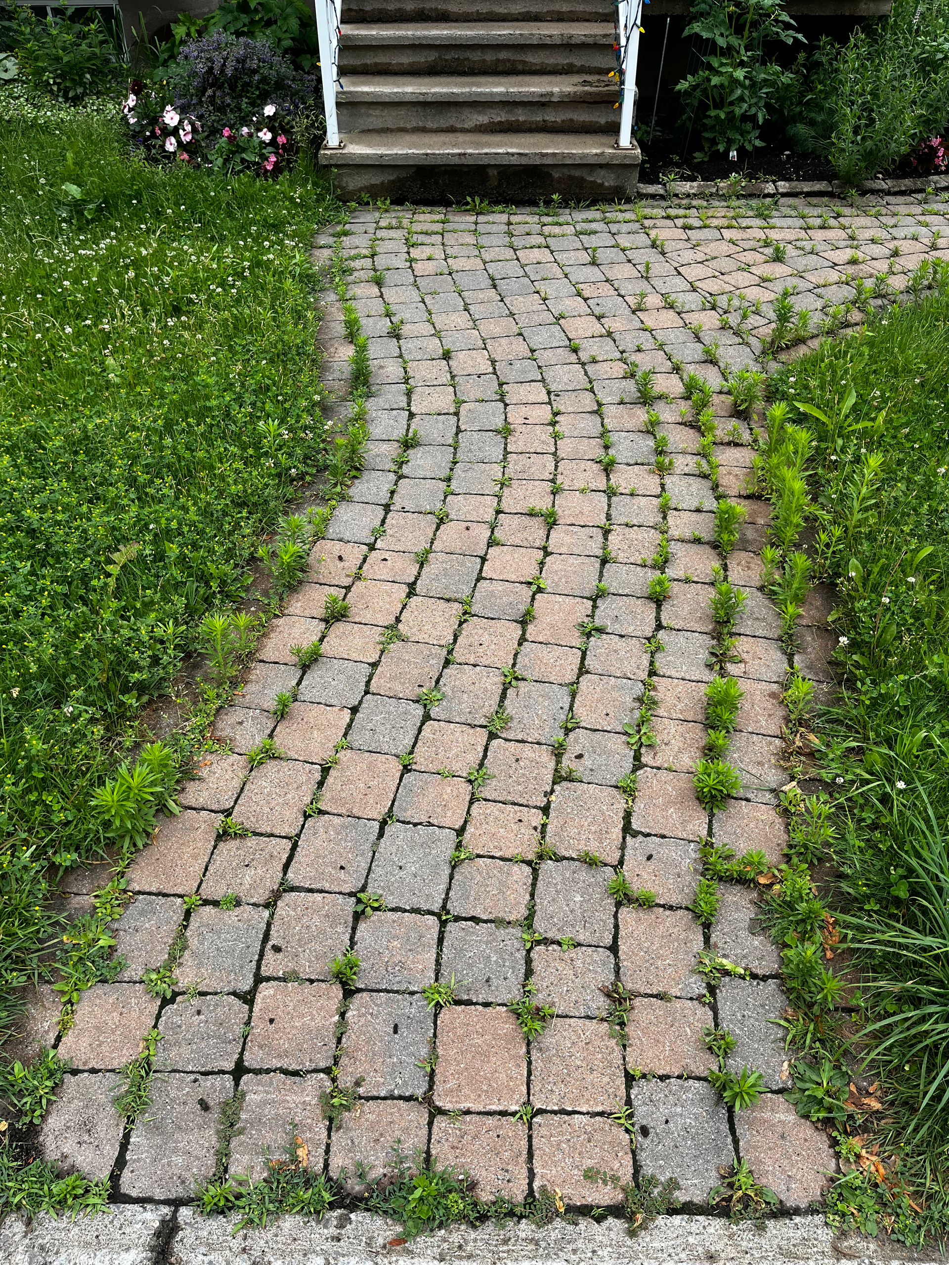 Une allée en briques avec des mauvaises herbes qui poussent dessus devant une maison.