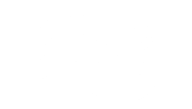 MAG Lavage À Pression logo