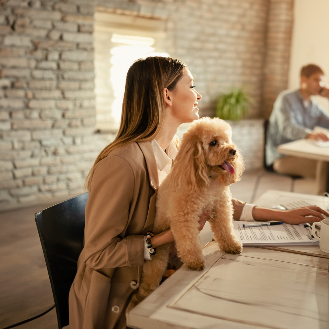 Woman holding a small brown dog, sitting at a desk in an office.