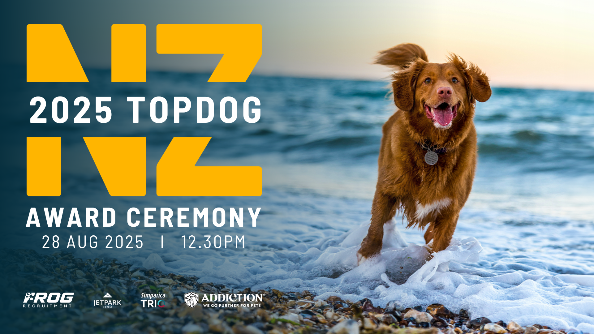 NZ Topdog Award Ceremony 2025: Brown dog running in ocean waves. Text on left: event details.