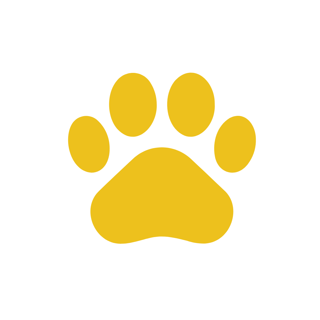 Yellow paw print.