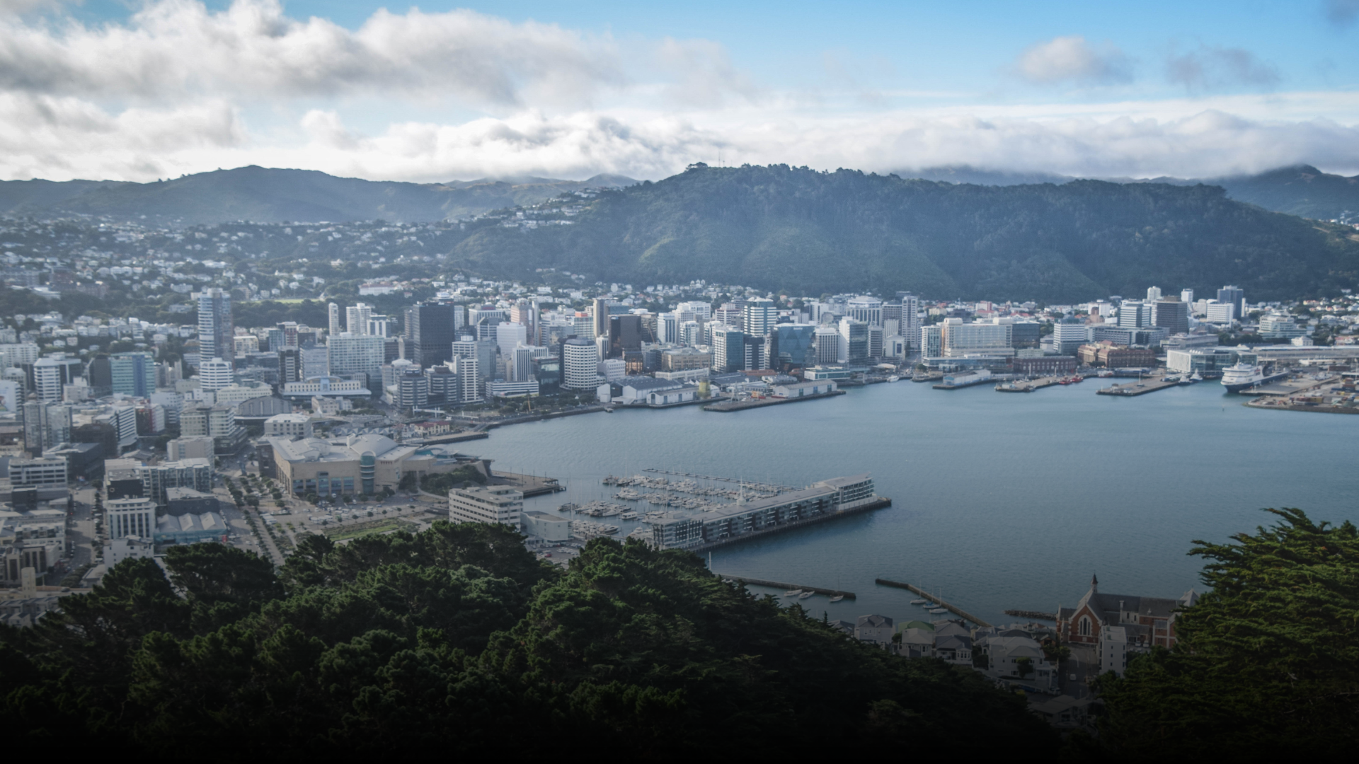 Cityscape of Wellington, New Zealand, overlooking harbor with buildings, and mountains in the background under cloudy skies.