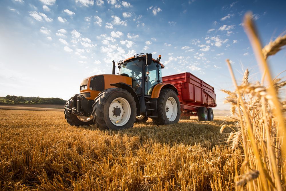 Orange tractor pulling red trailer through a golden wheat field under a blue sky at sunset — Bundaberg Field Service in Childers, QLD