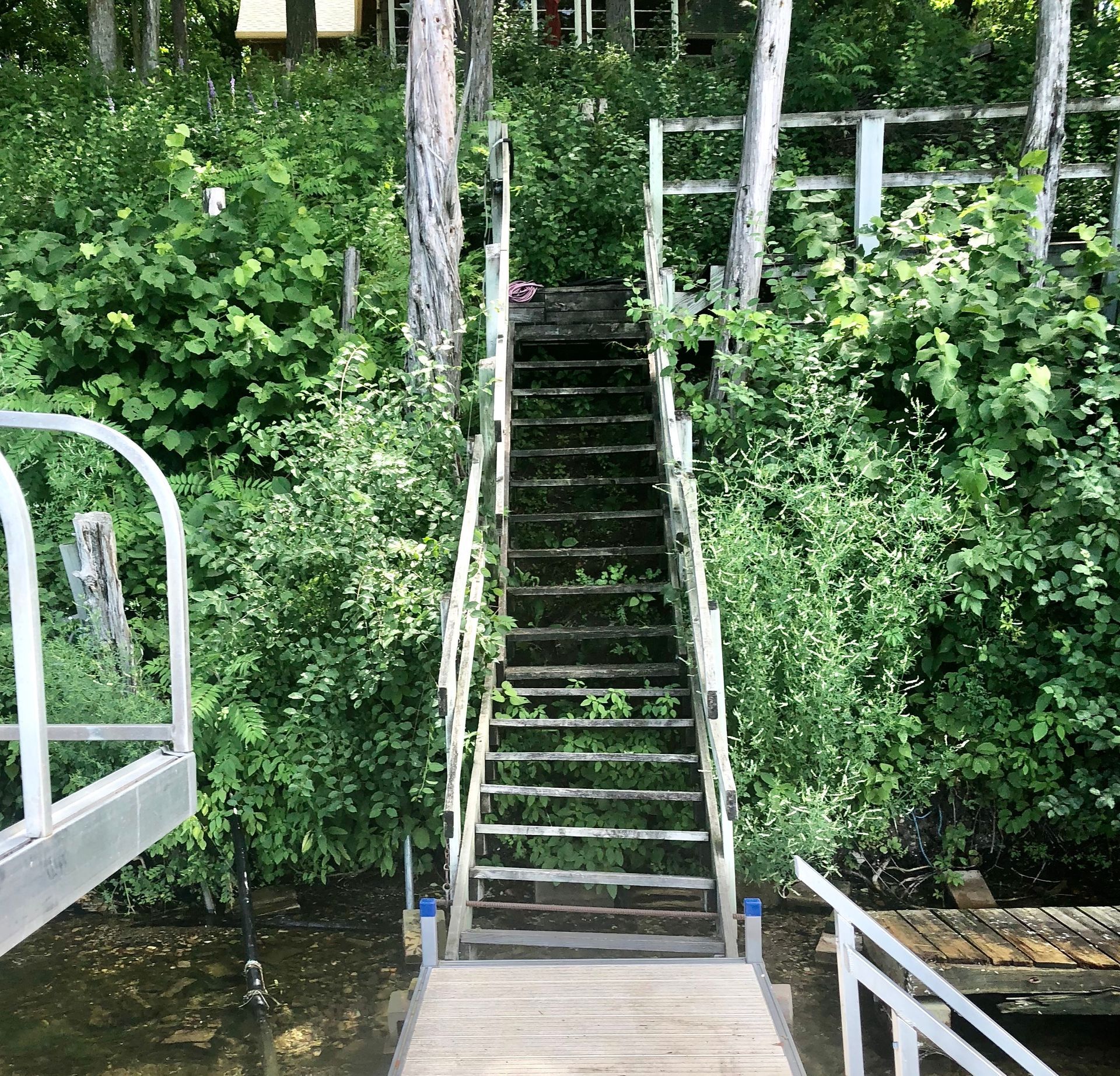 Steep wooden stairs with white railings leading up through dense green foliage by the water