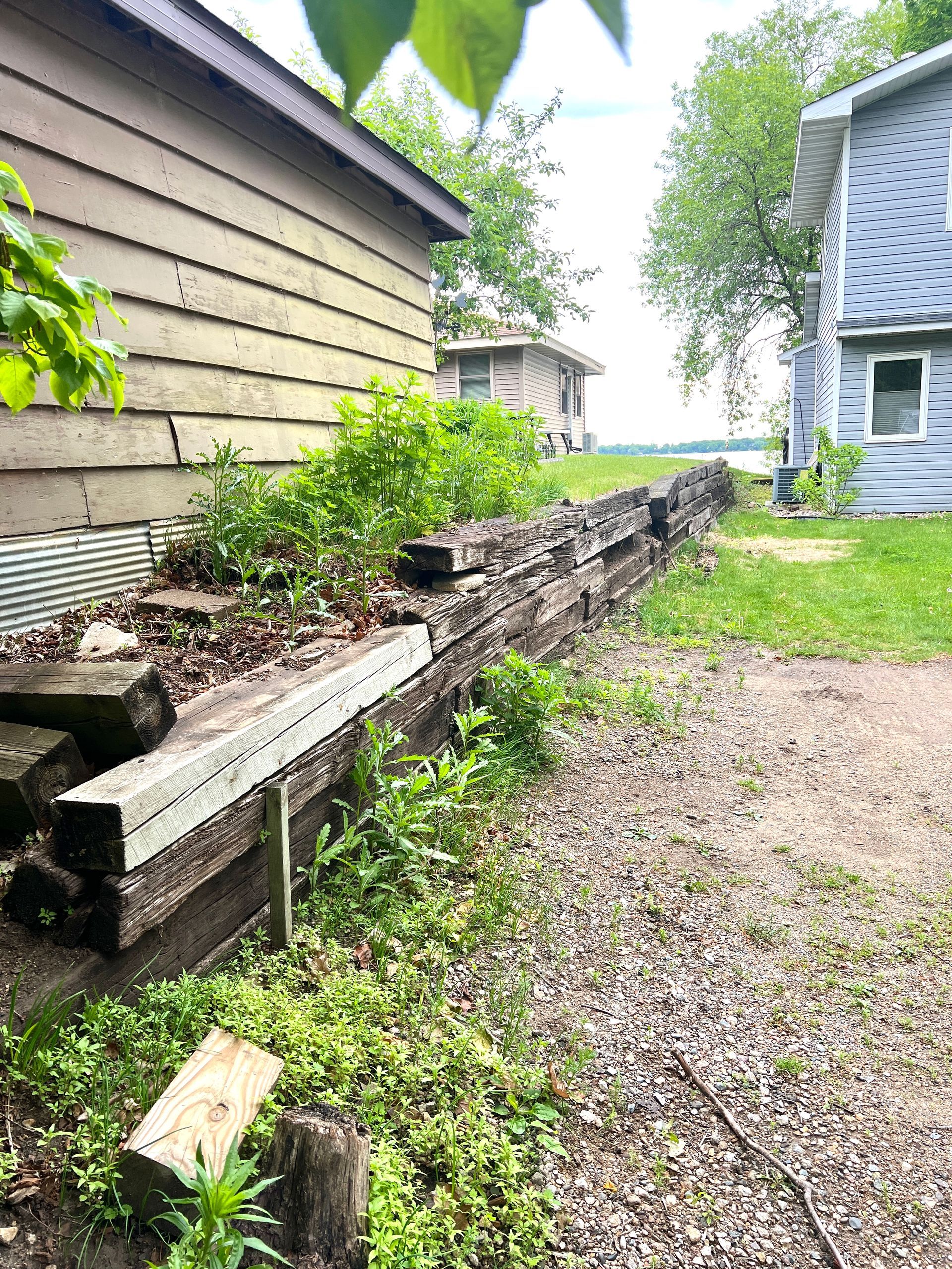 Narrow gravel path beside a weathered raised garden bed, between two houses, with green shrubs and grass.