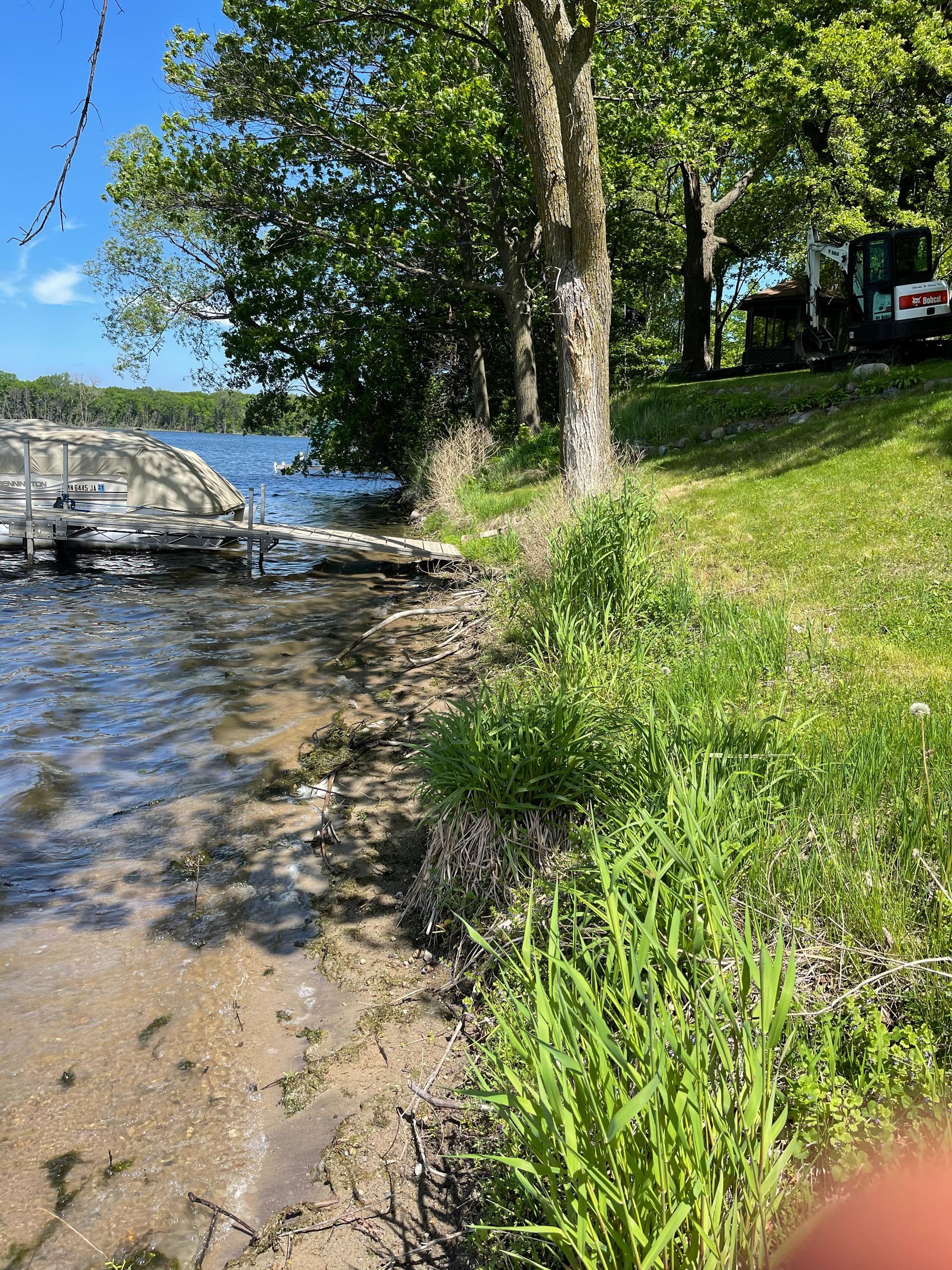 Shoreline with clear water, a rocky edge, trees, and a grassy bank on a sunny day