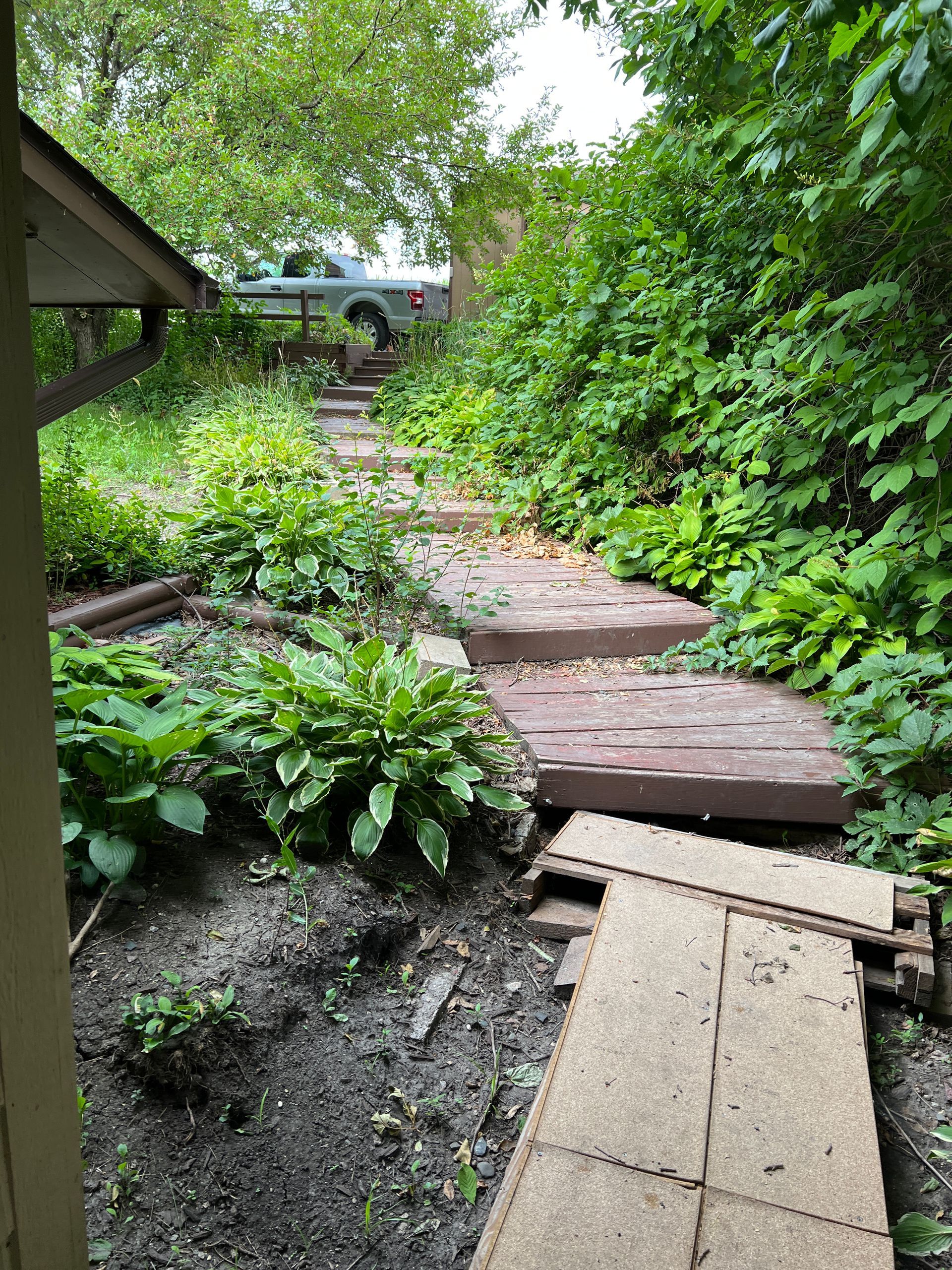 Garden path with uneven boards and stepping stones, bordered by dense green plants and trees