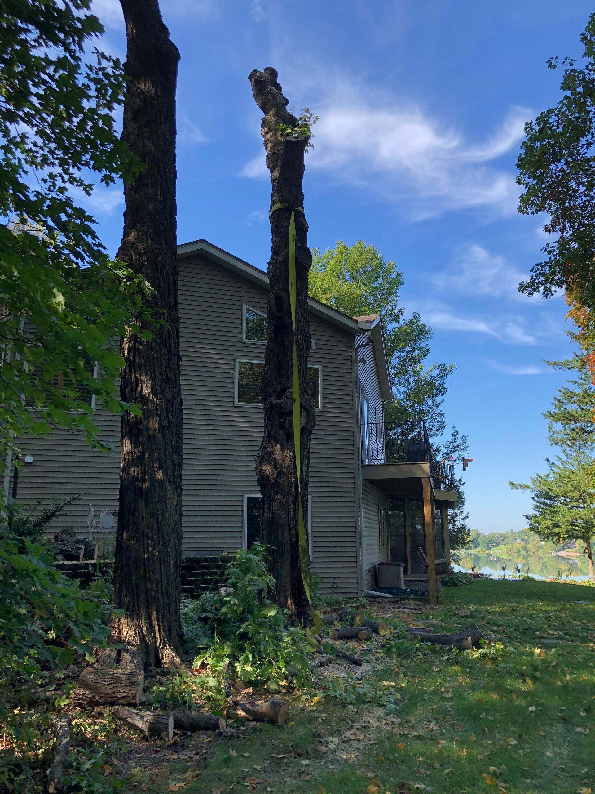 Old gray house beside tall trees under a bright blue sky, with sunlight and green yard.