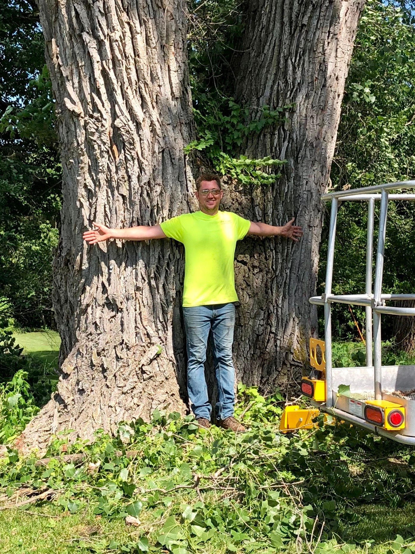 Man in neon green shirt stands with arms outstretched between two huge tree trunks in a park-like yard.