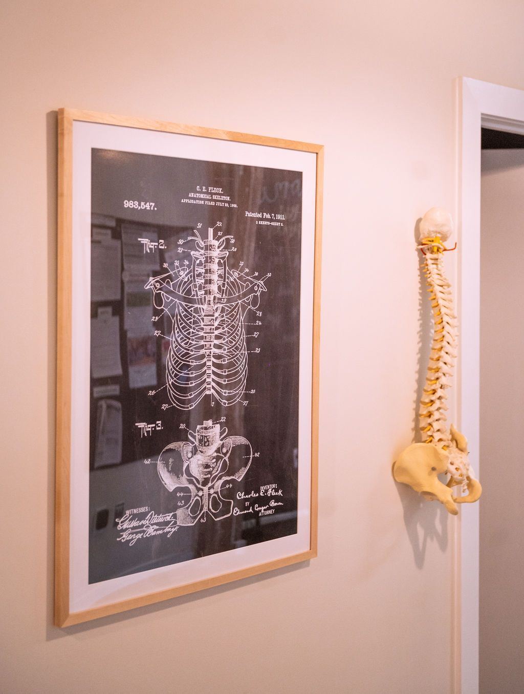 Framed skeleton anatomy poster and yellow spine model mounted on a beige wall near a doorway