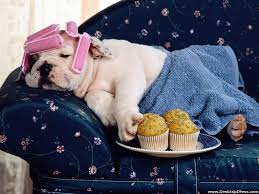 rest and recover