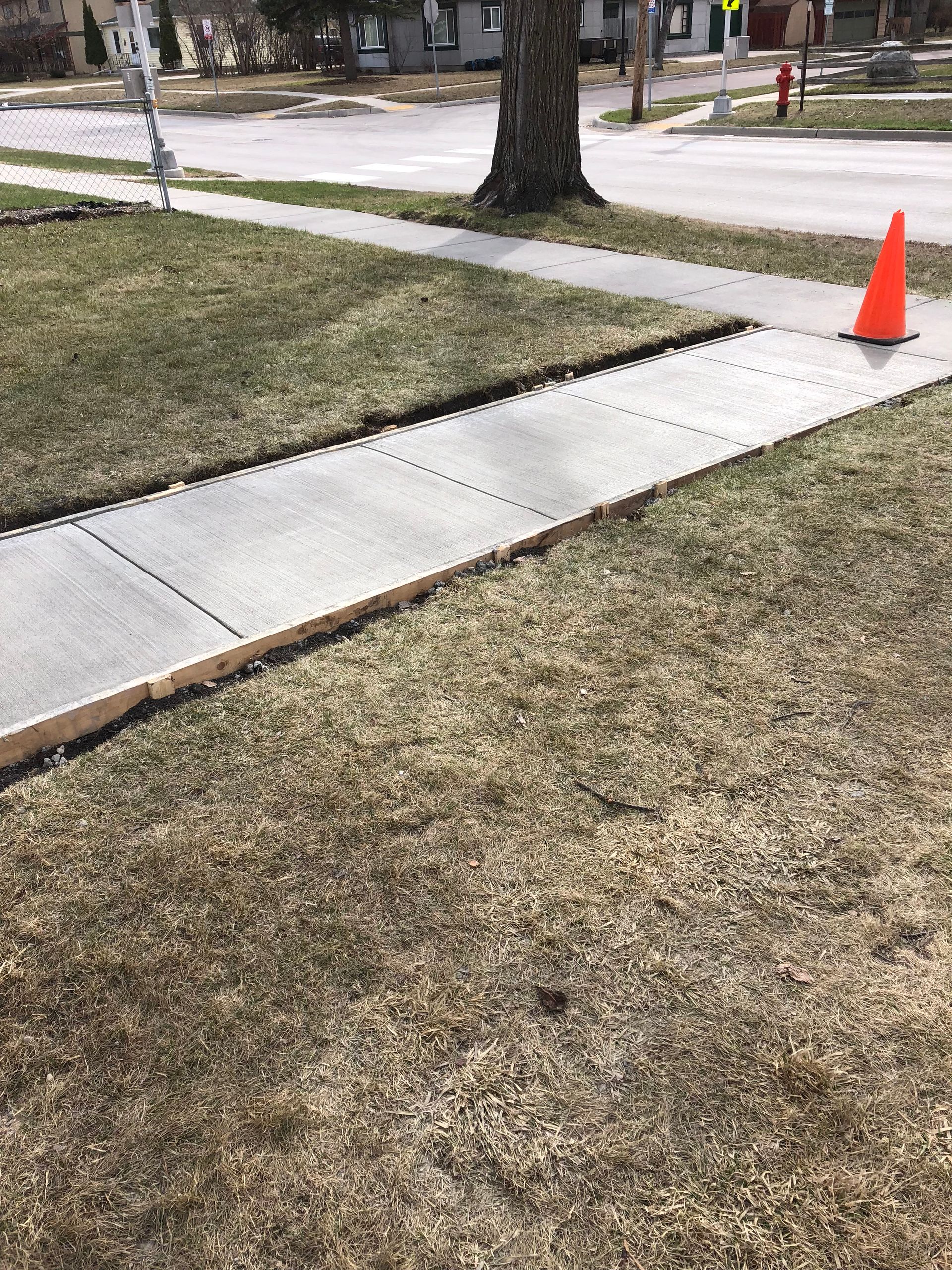 Newly poured concrete sidewalk segments with wooden forms, framed by lawn, near a street with an orange traffic cone.