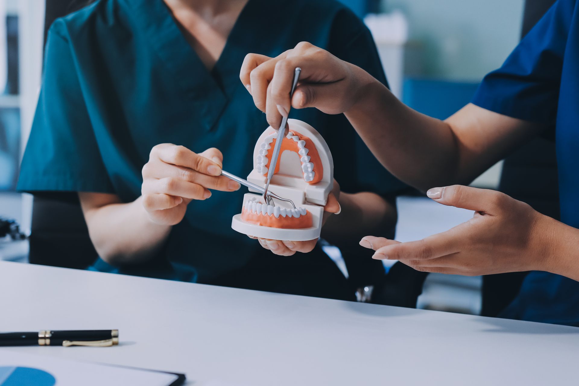 Medical staff demonstrating a dental jaw model with a pointer during a consultation