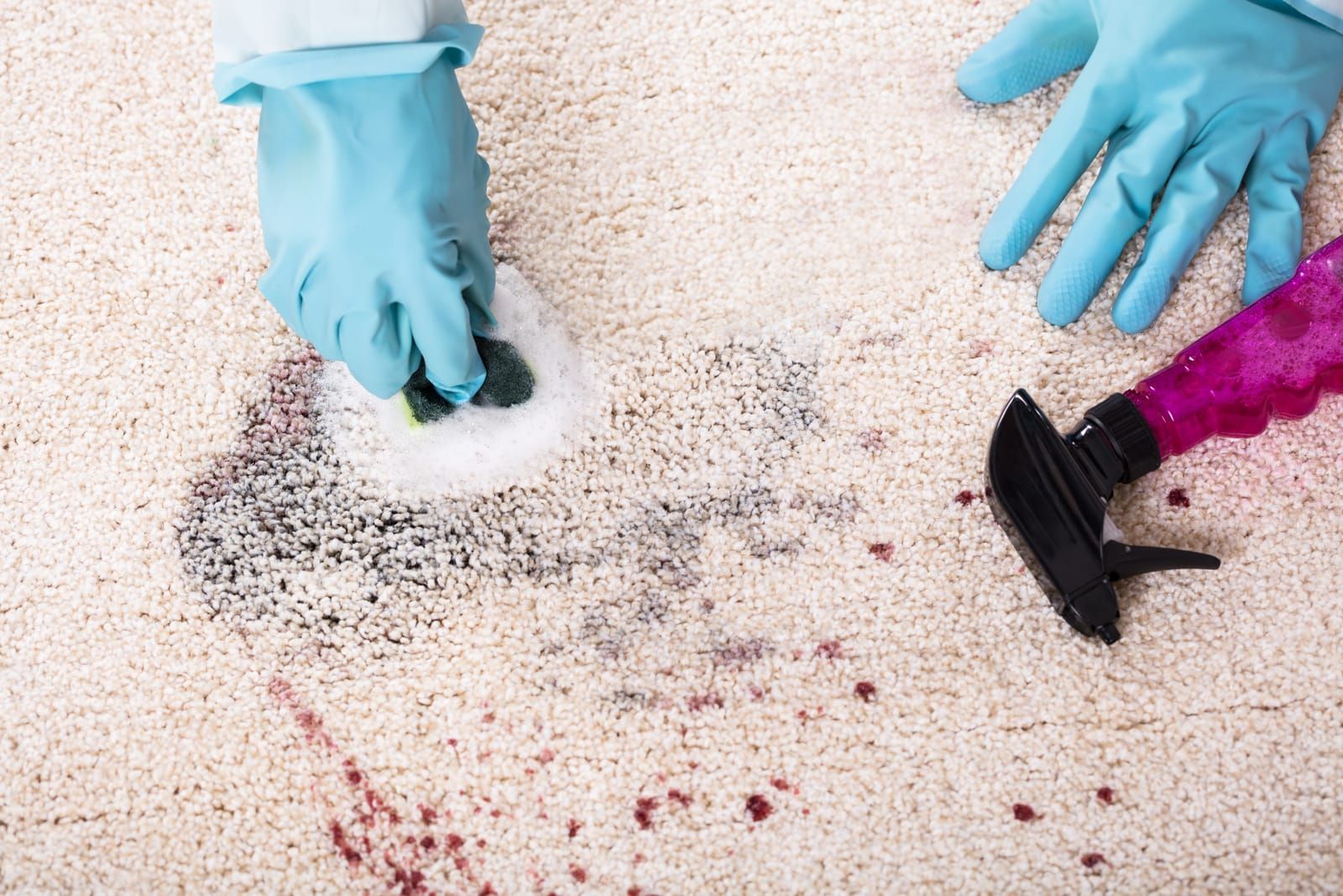 person-cleaning-stain-of-carpet-with-sponge