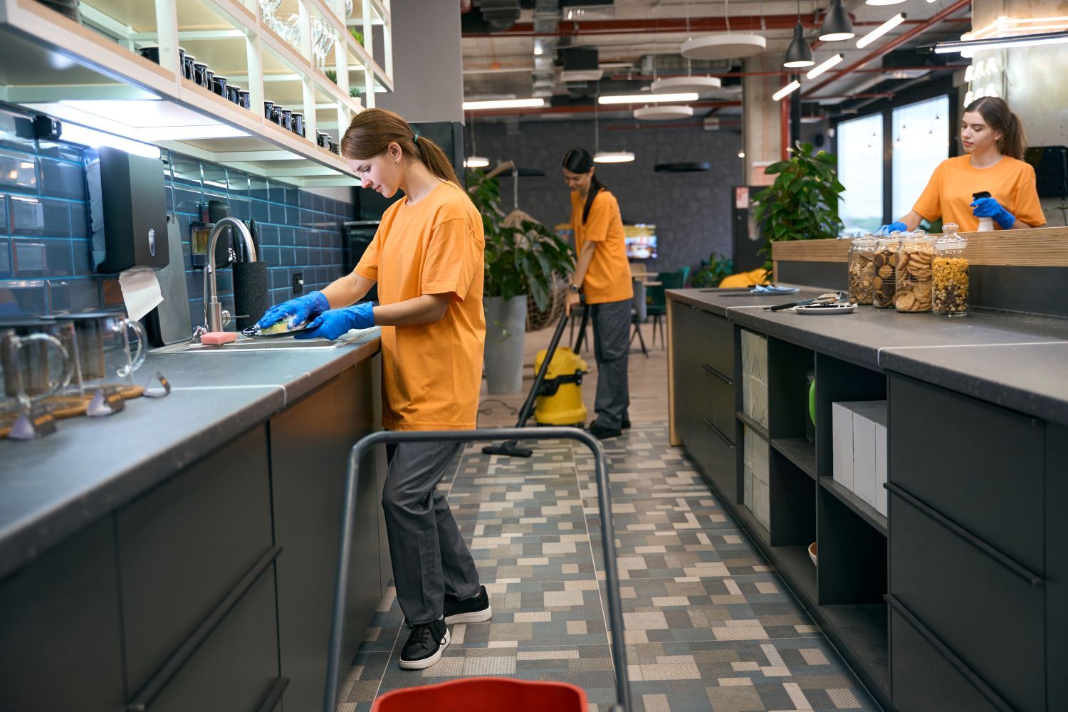 professional-cleaners-doing-spring-cleaning-in-kitchen