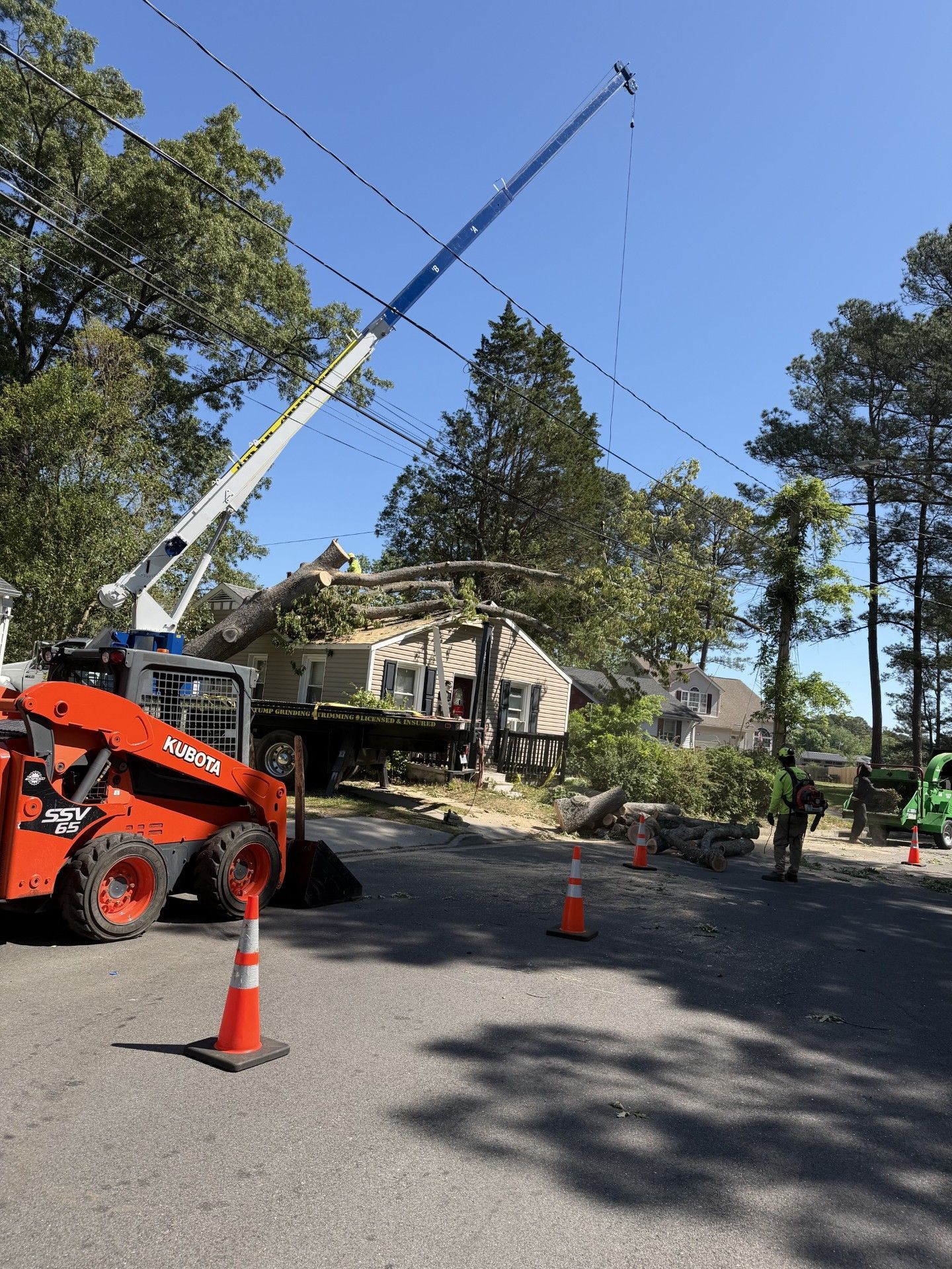 Arborist in orange safety gear cutting a large tree trunk with a chainsaw outdoors