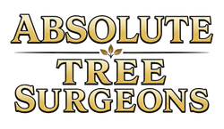 Gold and black logo reading “Absolute Tree Surgeons” with stylized text and horizontal lines