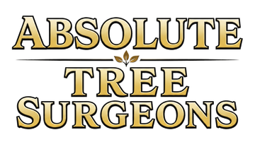 Gold and black logo reading “Absolute Tree Surgeons” with stylized text and horizontal lines