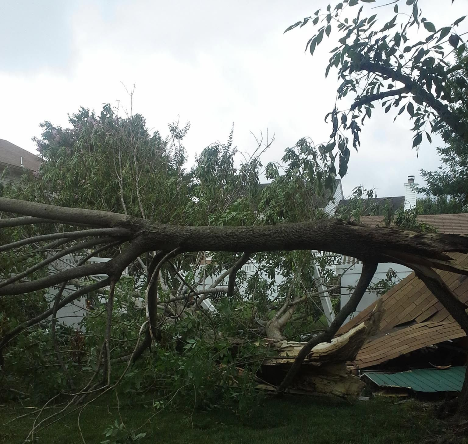 Fallen tree branch crushed a roof in a yard amid storm damage.