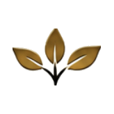 Three stylized gold leaves on a black stem, centered on a white background