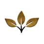 Stylized gold three-leaf plant logo on a white background