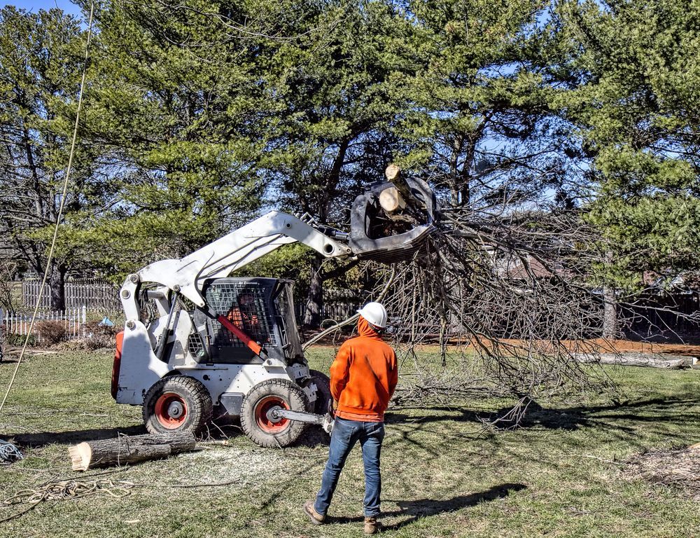 Worker in orange hoodie guiding a skid steer trimming a tree branch in a yard