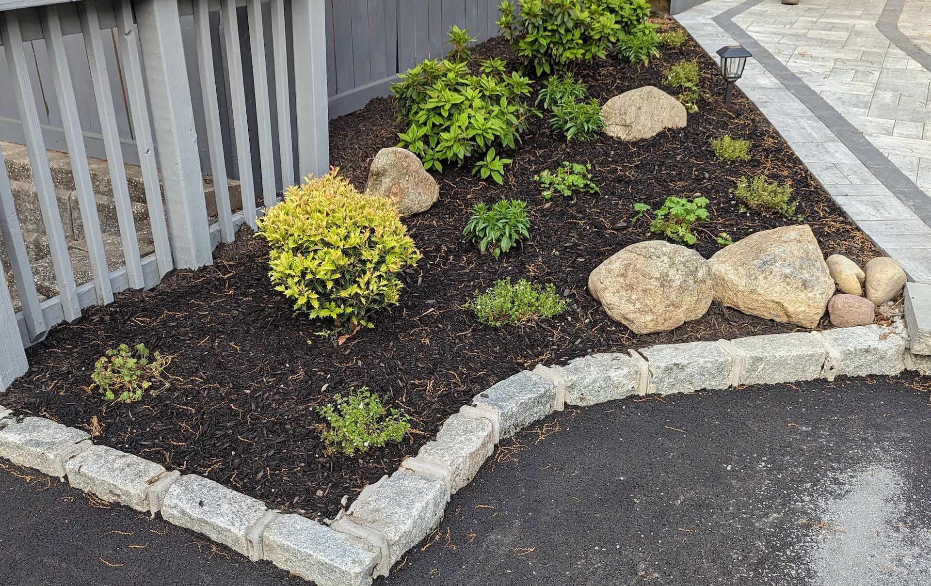 front area new landscaping with plants and rocks