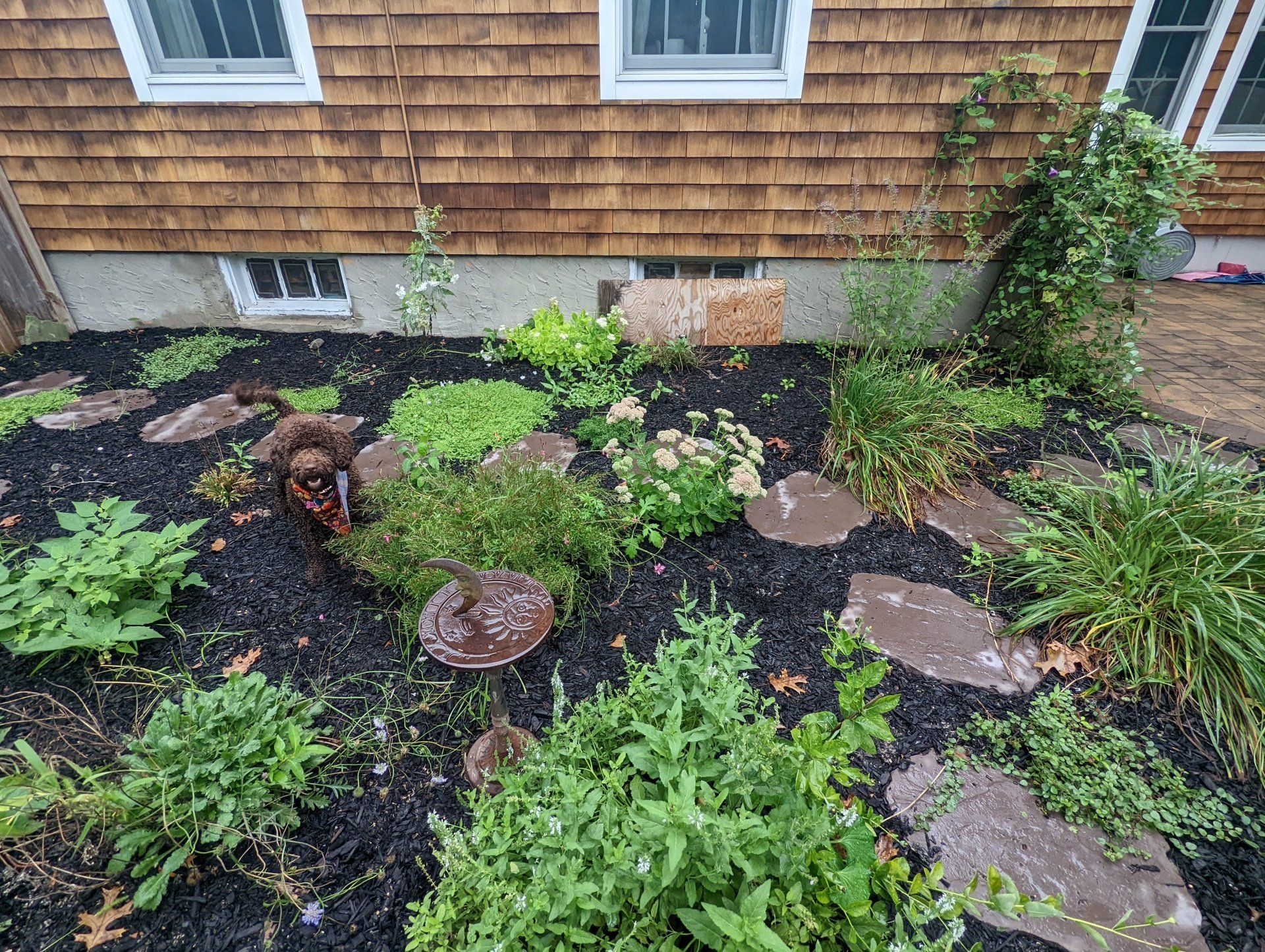Plant Install