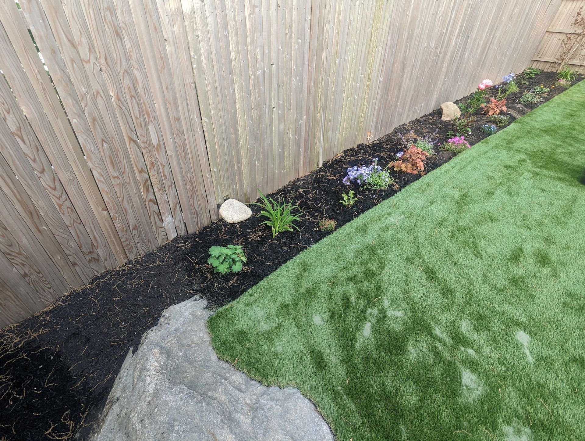 new plants installed with mulch