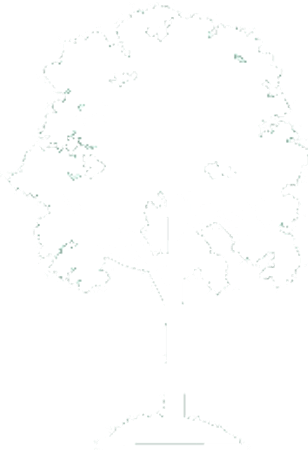 Tree Icon