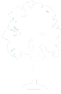 Tree Icon