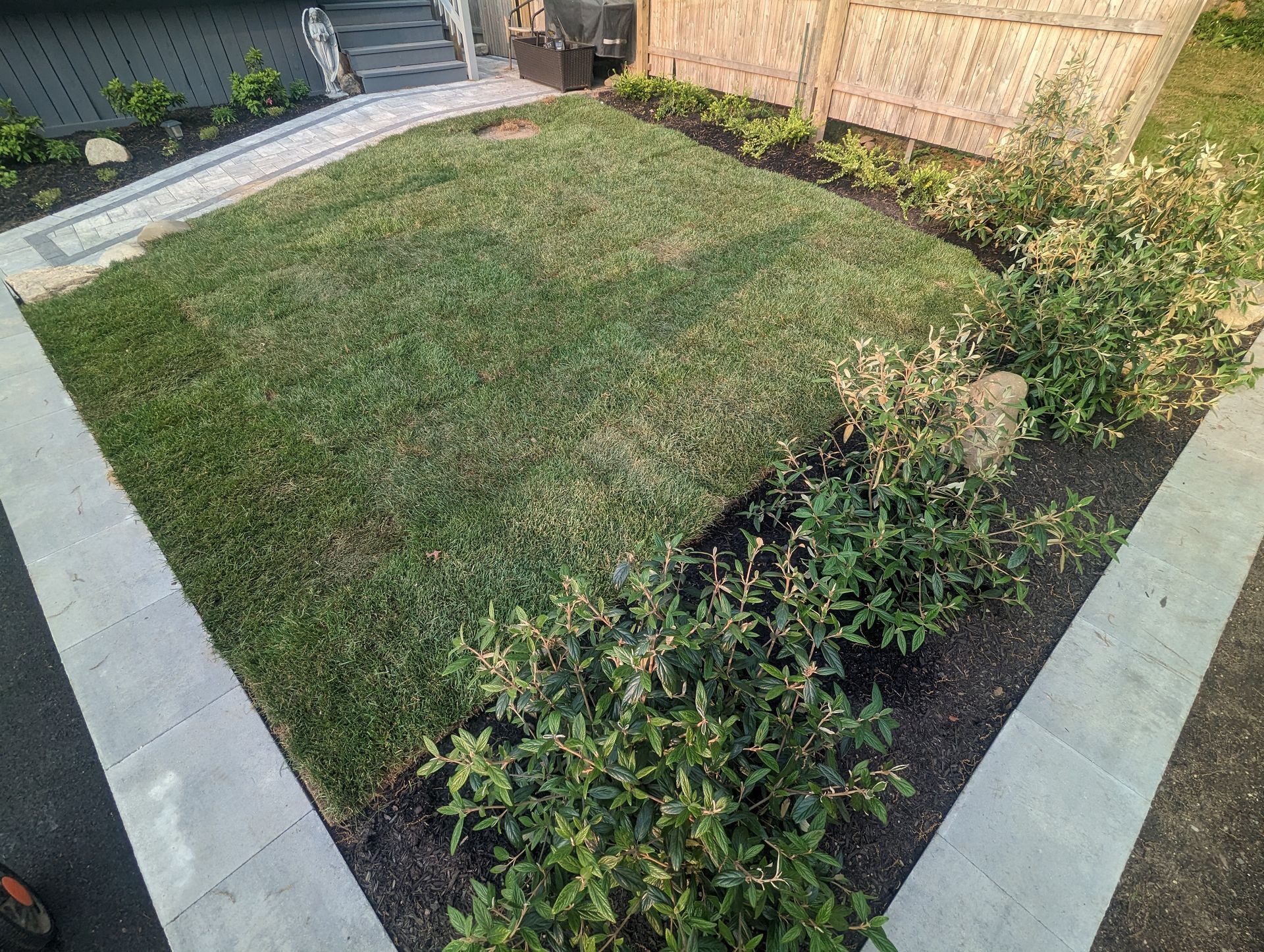 sod installation