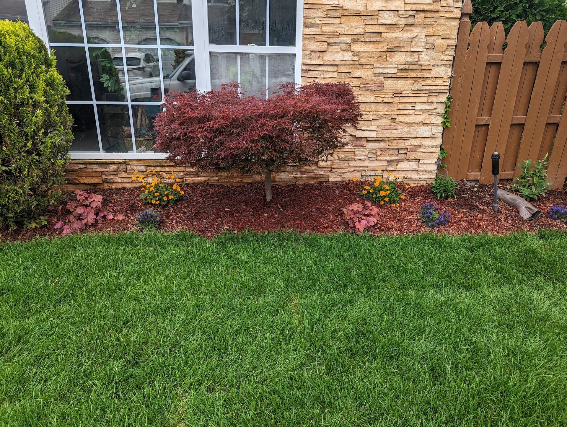 new sod install in the front yard