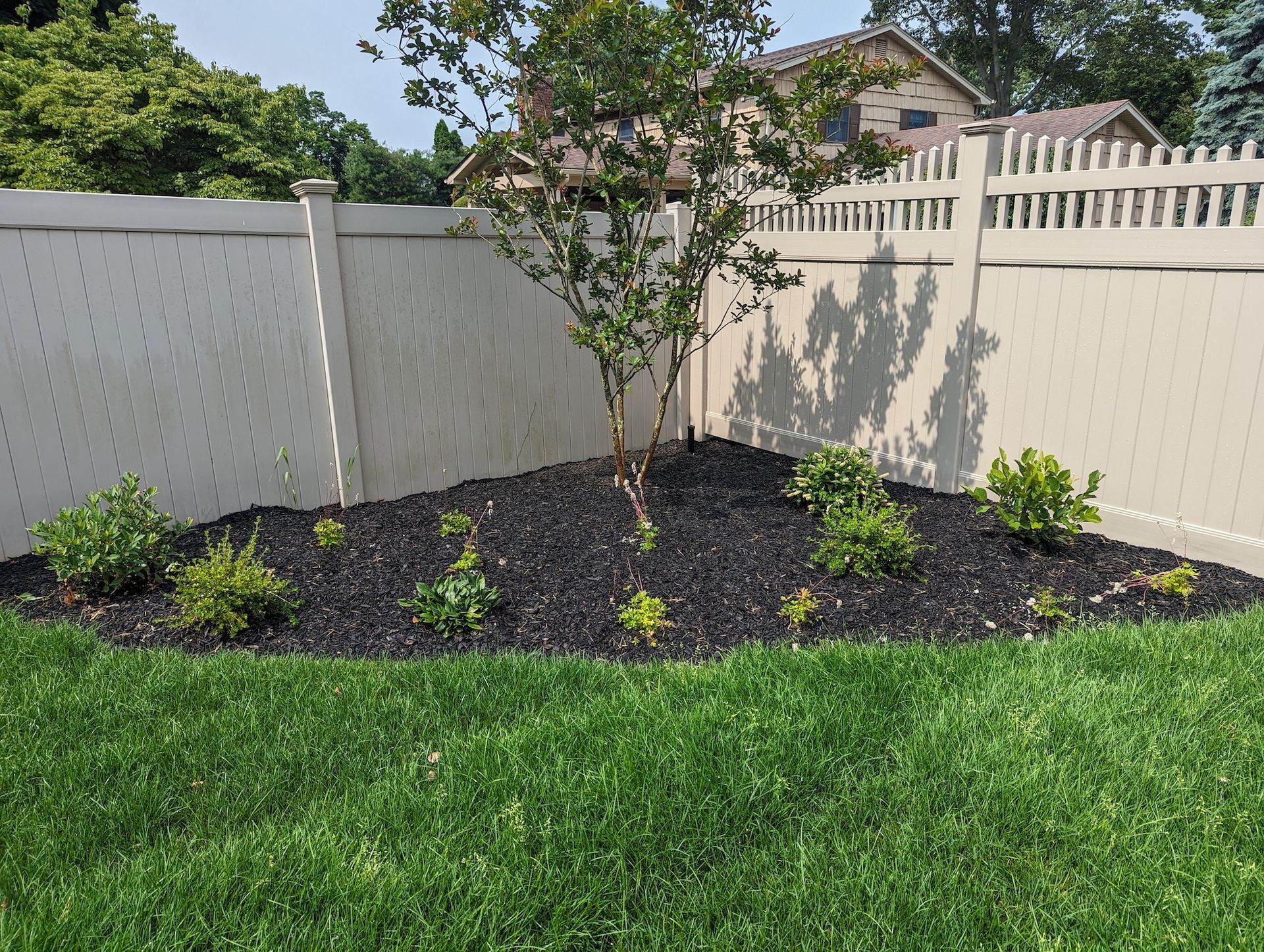 new residential backyard grass install service