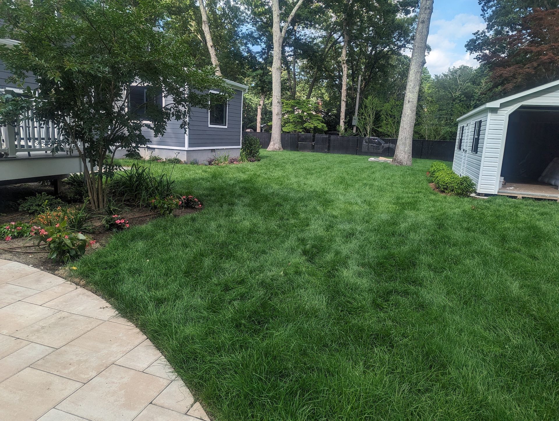 new sod install in the side yard